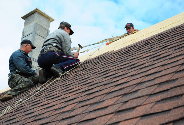 Best Local Roofing Companies  in Benton Park, CA